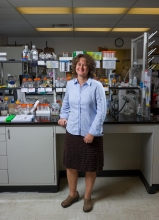 Francesca Storici, professor in the School of Biological Sciences and a researcher in the Petit Institute of Bioengineering and Bioscience at Georgia Tech Francesca Storici, professor in the School of Biological Sciences and a researcher in the Petit Institute of Bioengineering and Bioscience at Georgia Tech