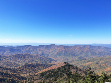 Spruce-fir boreal forest in western North Carolina