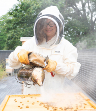 Jennifer Leavey working with bees on top of The Kendeda Building for Innovative Sustainable Design.