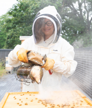 Jennifer Leavey working with bees on top of The Kendeda Building for Innovative Sustainable Design. Jennifer Leavey working with bees on top of The Kendeda Building for Innovative Sustainable Design.