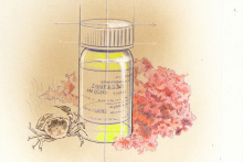 Diving Deep to Cure Diseases. (Illustration by Linda Richards) Diving Deep to Cure Diseases. (Illustration by Linda Richards)