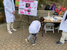 Hank Zapple, 7, demonstrates how flamingos stand on one leg at Zoo Atlanta during the Atlanta Science Festival. (Photo Renay San Miguel) Hank Zapple, 7, demonstrates how flamingos stand on one leg at Zoo Atlanta during the Atlanta Science Festival. (Photo Renay San Miguel)