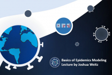 Held this summer in a virtual format, the fourth annual workshop focused on the basics of epidemics modeling. Joshua Weitz and Pablo Bravo share thoughts on how they ran the virtual workshop — along with ideas and advice for similar events.