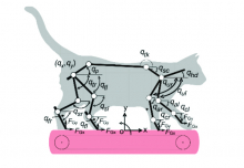 Schematic of a cat musculoskeletal model Schematic of a cat musculoskeletal model