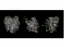 Proteins via Skolnick Proteins via Skolnick